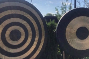 Image showing two gongs used for gong sound healing